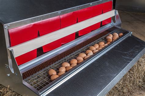 roll out egg nesting boxes